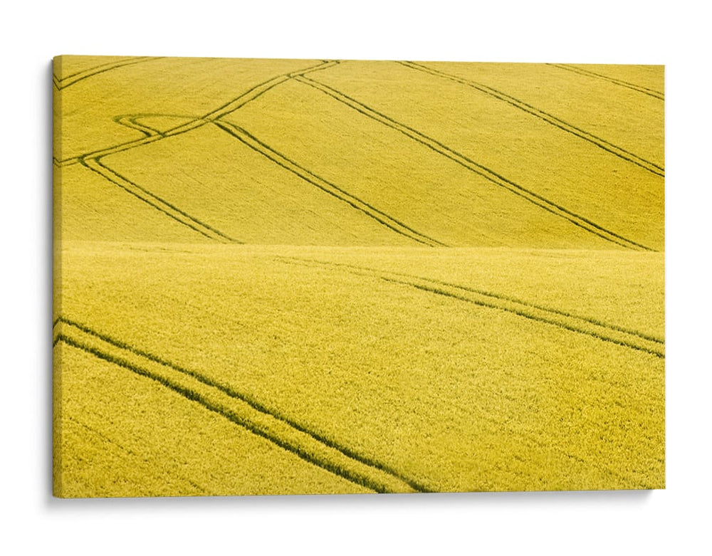 Patrones de campo sinuosos - Clive Collie | Cuadro decorativo de Canvas Lab
