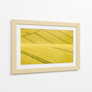 Patrones de campo sinuosos - Clive Collie | Cuadro decorativo de Canvas Lab