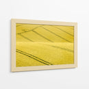 Patrones de campo sinuosos - Clive Collie | Cuadro decorativo de Canvas Lab