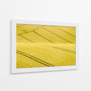 Patrones de campo sinuosos - Clive Collie | Cuadro decorativo de Canvas Lab