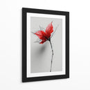 Boceto floral - DIEGO D L | Cuadro decorativo de Canvas Lab