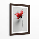 Boceto floral - DIEGO D L | Cuadro decorativo de Canvas Lab