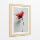 Boceto floral - DIEGO D L | Cuadro decorativo de Canvas Lab