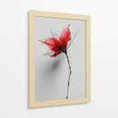 Boceto floral - DIEGO D L | Cuadro decorativo de Canvas Lab