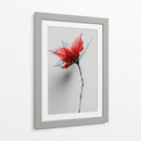 Boceto floral - DIEGO D L | Cuadro decorativo de Canvas Lab