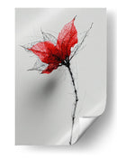 Boceto floral - DIEGO D L | Cuadro decorativo de Canvas Lab