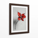 Florales - DIEGO D L | Cuadro decorativo de Canvas Lab