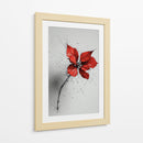 Florales - DIEGO D L | Cuadro decorativo de Canvas Lab