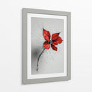 Florales - DIEGO D L | Cuadro decorativo de Canvas Lab