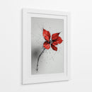 Florales - DIEGO D L | Cuadro decorativo de Canvas Lab