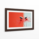 Abejas rojas - DIEGO D L | Cuadro decorativo de Canvas Lab
