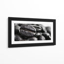 Cafeina II - DIEGO D L | Cuadro decorativo de Canvas Lab