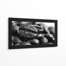 Cafeina II - DIEGO D L | Cuadro decorativo de Canvas Lab
