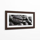 Cafeina II - DIEGO D L | Cuadro decorativo de Canvas Lab