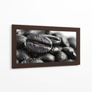 Cafeina II - DIEGO D L | Cuadro decorativo de Canvas Lab