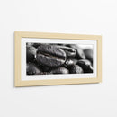 Cafeina II - DIEGO D L | Cuadro decorativo de Canvas Lab