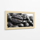 Cafeina II - DIEGO D L | Cuadro decorativo de Canvas Lab