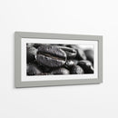 Cafeina II - DIEGO D L | Cuadro decorativo de Canvas Lab