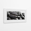 Cafeina II - DIEGO D L | Cuadro decorativo de Canvas Lab