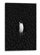 Unico pingüino  - DIEGO D L | Cuadro decorativo de Canvas Lab