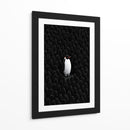 Unico pingüino  - DIEGO D L | Cuadro decorativo de Canvas Lab