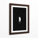 Unico pingüino  - DIEGO D L | Cuadro decorativo de Canvas Lab