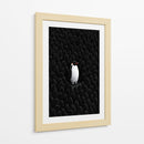 Unico pingüino  - DIEGO D L | Cuadro decorativo de Canvas Lab