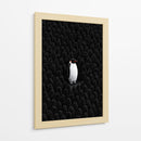 Unico pingüino  - DIEGO D L | Cuadro decorativo de Canvas Lab