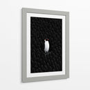 Unico pingüino  - DIEGO D L | Cuadro decorativo de Canvas Lab