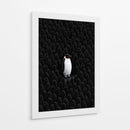 Unico pingüino  - DIEGO D L | Cuadro decorativo de Canvas Lab