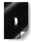 Unico pingüino  - DIEGO D L | Cuadro decorativo de Canvas Lab