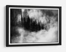 Árboles del bosque brumoso - Jacek Stefan | Cuadro decorativo de Canvas Lab