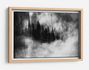 Árboles del bosque brumoso - Jacek Stefan | Cuadro decorativo de Canvas Lab