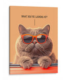 Jefe Felino - Puffy Design | Cuadro decorativo de Canvas Lab