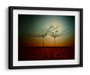 Gotas de rocío de diente de león al atardecer - Dimitar Lazarov - | Cuadro decorativo de Canvas Lab
