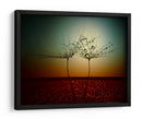 Gotas de rocío de diente de león al atardecer - Dimitar Lazarov - | Cuadro decorativo de Canvas Lab