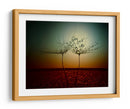 Gotas de rocío de diente de león al atardecer - Dimitar Lazarov - | Cuadro decorativo de Canvas Lab