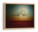 Gotas de rocío de diente de león al atardecer - Dimitar Lazarov - | Cuadro decorativo de Canvas Lab