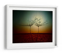 Gotas de rocío de diente de león al atardecer - Dimitar Lazarov - | Cuadro decorativo de Canvas Lab