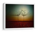 Gotas de rocío de diente de león al atardecer - Dimitar Lazarov - | Cuadro decorativo de Canvas Lab