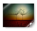 Gotas de rocío de diente de león al atardecer - Dimitar Lazarov - | Cuadro decorativo de Canvas Lab