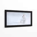 Gatito blanco en la nieve - Esmee Prexus | Cuadro decorativo de Canvas Lab
