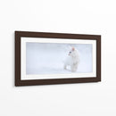 Gatito blanco en la nieve - Esmee Prexus | Cuadro decorativo de Canvas Lab