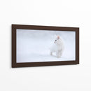 Gatito blanco en la nieve - Esmee Prexus | Cuadro decorativo de Canvas Lab