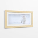 Gatito blanco en la nieve - Esmee Prexus | Cuadro decorativo de Canvas Lab
