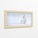 Gatito blanco en la nieve - Esmee Prexus | Cuadro decorativo de Canvas Lab