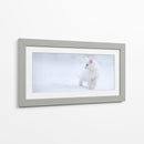 Gatito blanco en la nieve - Esmee Prexus | Cuadro decorativo de Canvas Lab