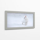 Gatito blanco en la nieve - Esmee Prexus | Cuadro decorativo de Canvas Lab