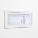 Gatito blanco en la nieve - Esmee Prexus | Cuadro decorativo de Canvas Lab