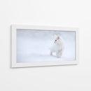 Gatito blanco en la nieve - Esmee Prexus | Cuadro decorativo de Canvas Lab